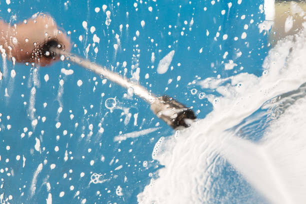 Best House Exterior Washing  in Crainvle, IL