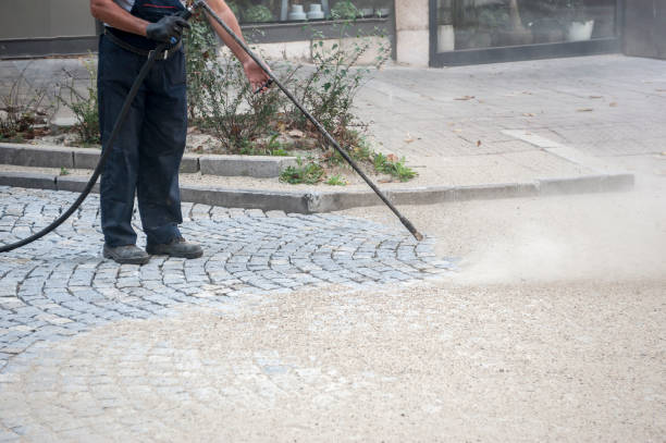 Best Post-Construction Pressure Washing  in Crainvle, IL