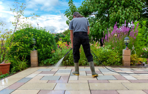 Best Patio and Deck Pressure Washing  in Crainvle, IL