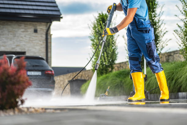 Best Sidewalk and Walkway Cleaning  in Crainvle, IL